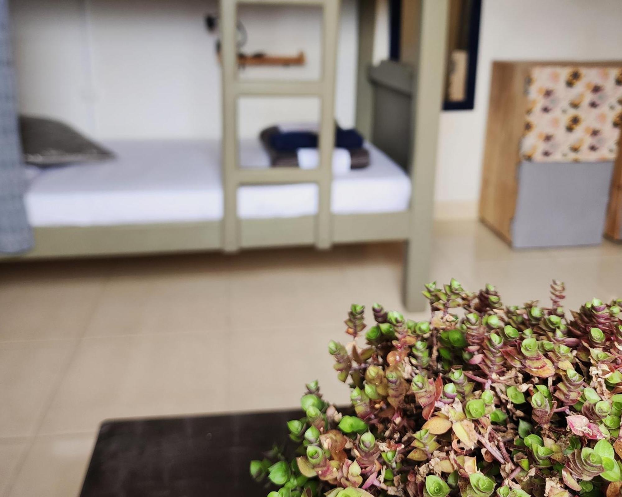 Casa Kayam Art Hostel Coliving Coworking Guatape Room photo