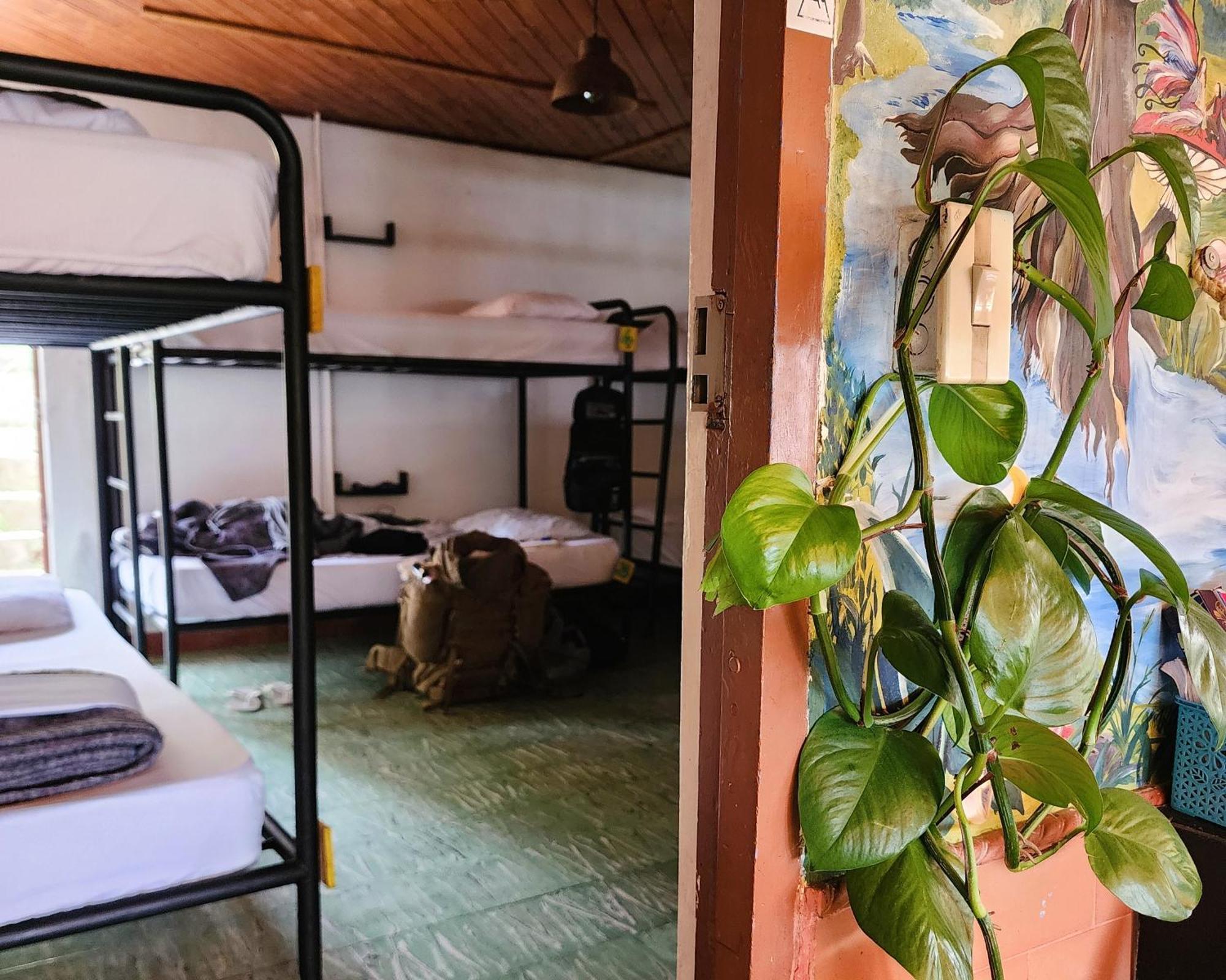 Casa Kayam Art Hostel Coliving Coworking Guatape Exterior photo